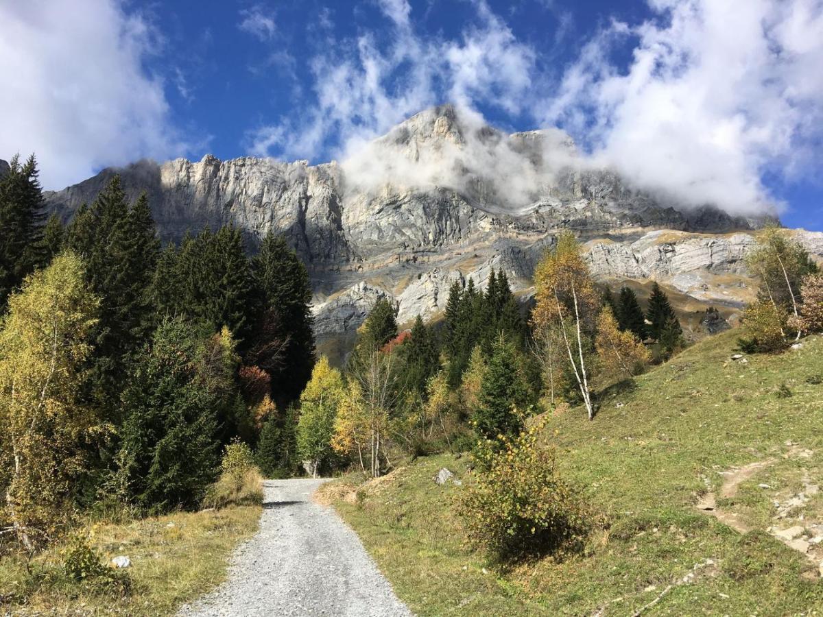 Fizhome Mt Blanc Passy  Εξωτερικό φωτογραφία