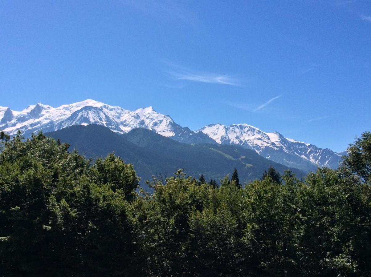 Fizhome Mt Blanc Passy  Εξωτερικό φωτογραφία